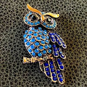 Beautiful Blue Large Owl Brooch